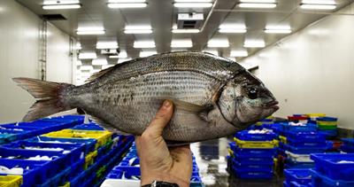 Résultats Challenge Pêche à soutenir 2026