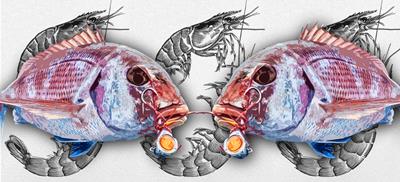 CHALLENGE PAGRE 2026