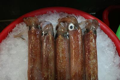 FETE DU CHIPIRON - Port de CAPBRETON
